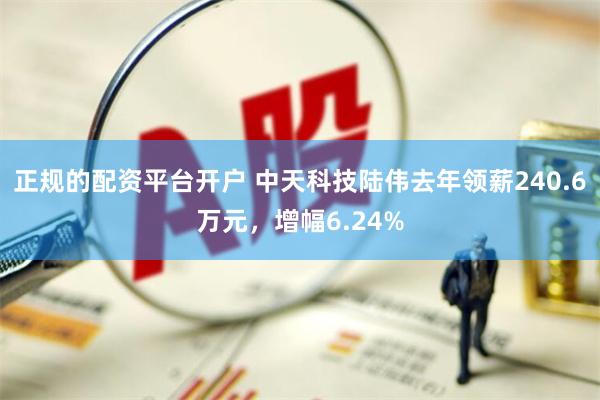 正规的配资平台开户 中天科技陆伟去年领薪240.6万元，增幅6.24%