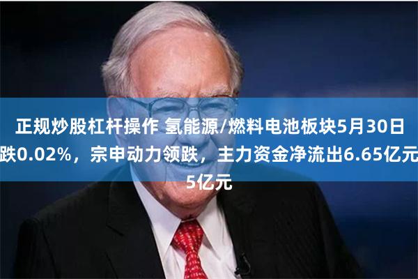 正规炒股杠杆操作 氢能源/燃料电池板块5月30日跌0.02%，宗申动力领跌，主力资金净流出6.65亿元