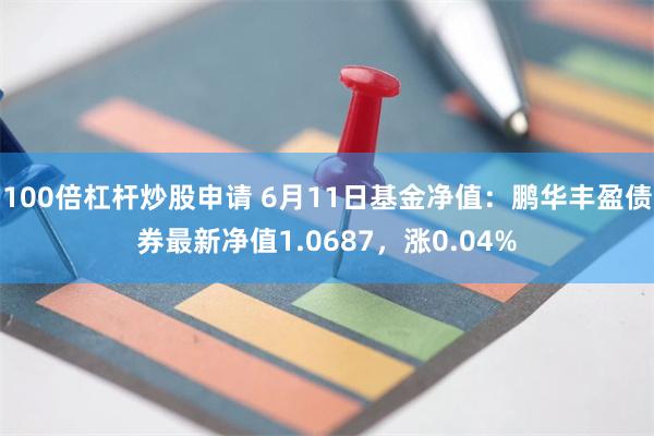 100倍杠杆炒股申请 6月11日基金净值：鹏华丰盈债券最新净值1.0687，涨0.04%