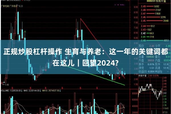 正规炒股杠杆操作 生育与养老：这一年的关键词都在这儿｜回望2024?