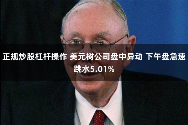 正规炒股杠杆操作 美元树公司盘中异动 下午盘急速跳水5.01%